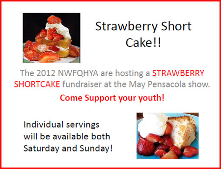 Fundraiser