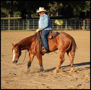 Reining Clinic